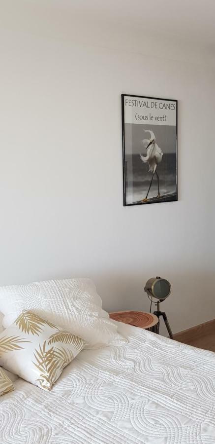 La Goelette - Palais Des Festivals Apartment คานส์ ภายนอก รูปภาพ